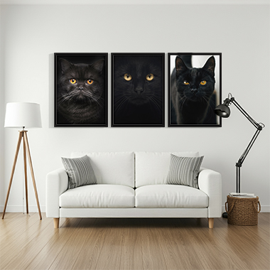 Quadro Decorativo Animais Trio Gato Preto