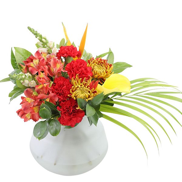 Arranjo de Flor Tropicais no Vaso - Claratí Flores e Plantas | Floricultura  - Compre Flores Online