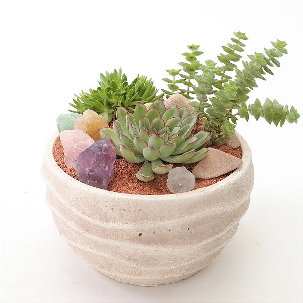 Terrário de Suculentas com Mini Cristais