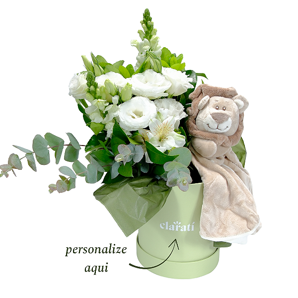 Kit Maternidade Naninha Leão