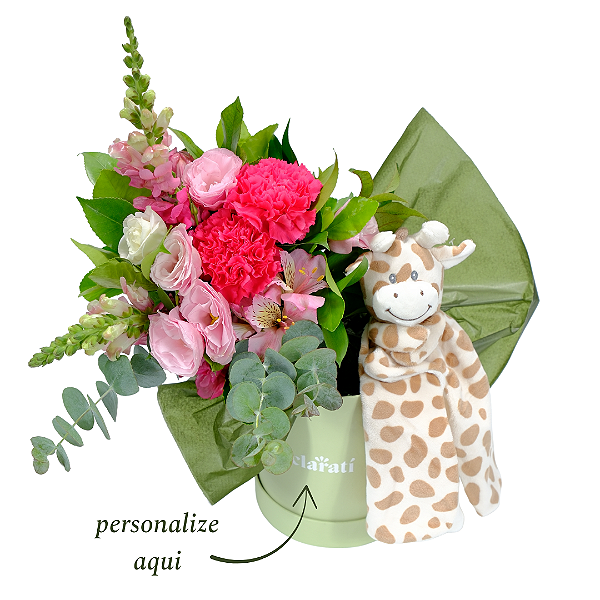 Kit Maternidade Naninha Girafa