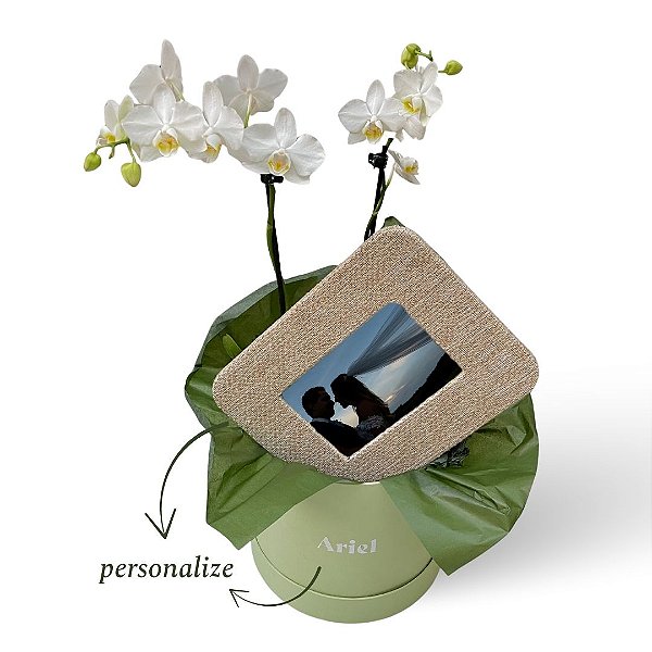 *Kit Orquídea Phalaenopsis com Porta-Retrato
