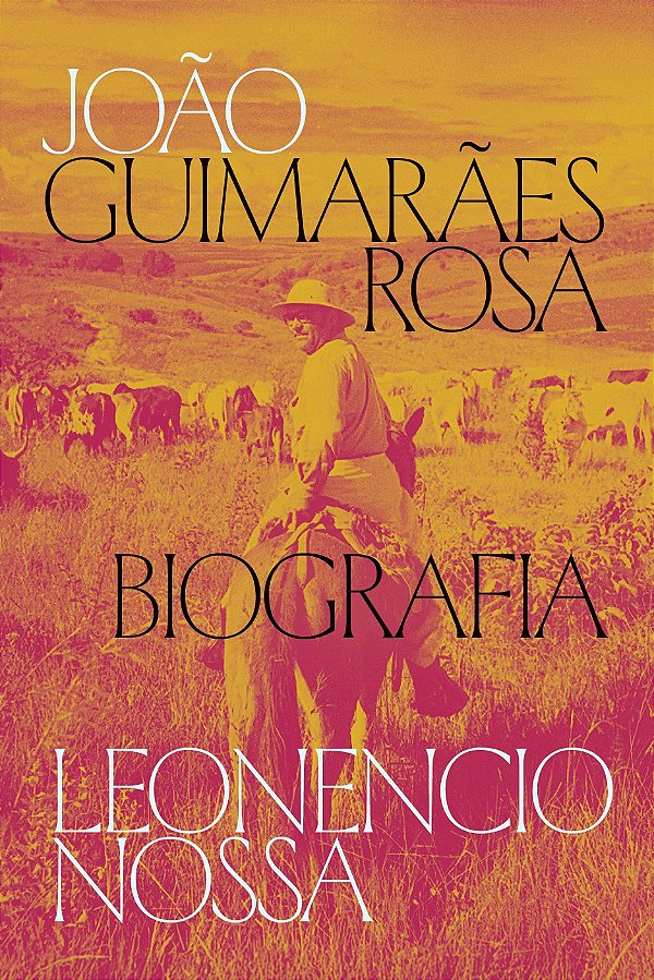 João Guimarães Rosa: biografia