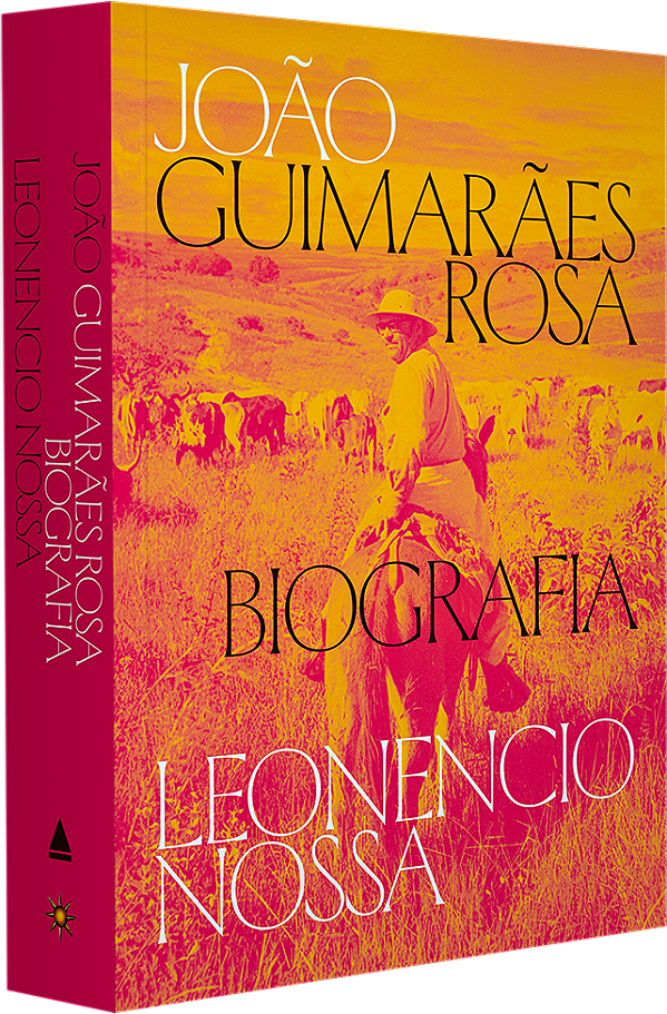 João Guimarães Rosa: biografia