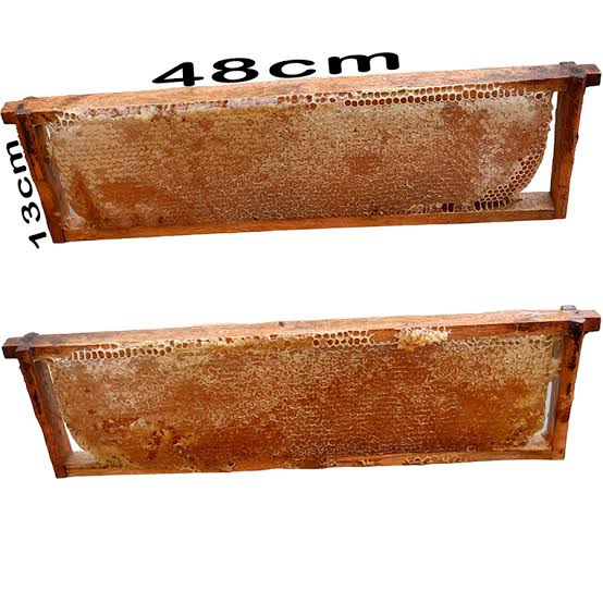 Favo de Mel Grande 48 cm