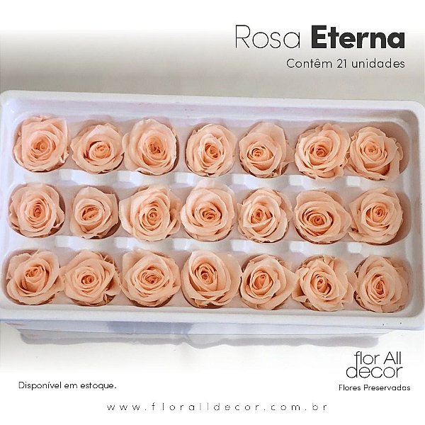 Mini Rosa Spray Preservada Rosa - Flor All Decor - Loja de Flores