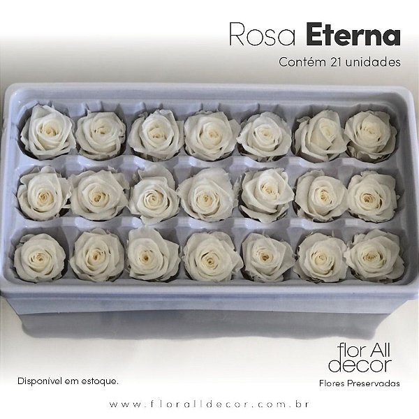 Rosa Spray Preservada Branco - Flor All Decor - Loja de Flores