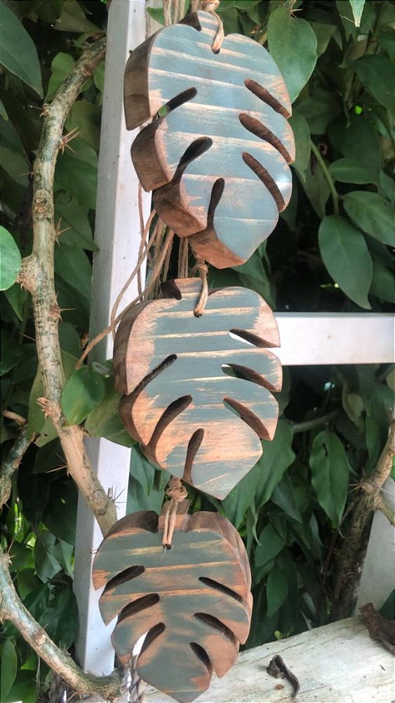 Penca de costela de Adão madeira demolição