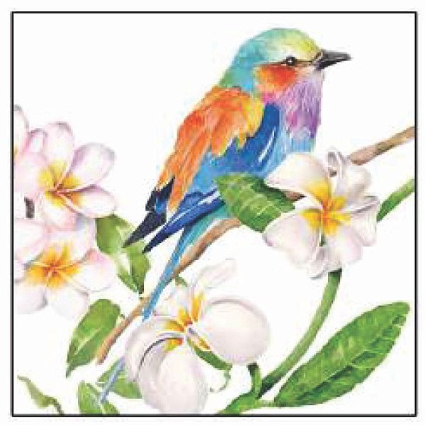 Guardanapo - 1334032 - Sri Lanka - 33x33cm