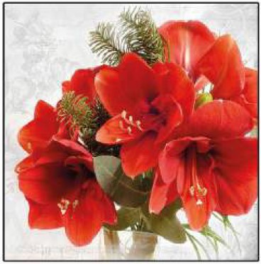 Guardanapo -  33314645 - Amaryllis - 33x33cm