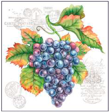 Guardanapo - 13311100 - Grape Vine - 33x33cm