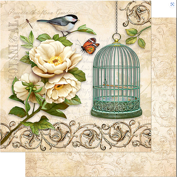 Papel para Scrapbook - SD-0371 - Pássaro e Gaiola