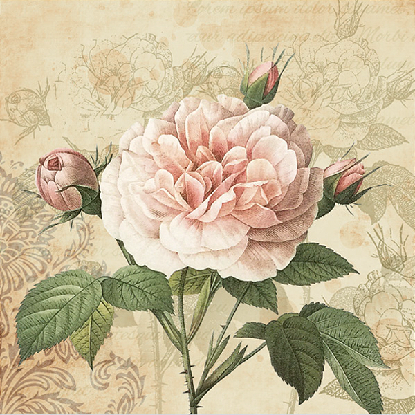 Guardanapo - G3-023 - Rosa Vintage - 33x33cm