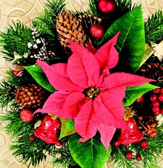 Guardanapo - G2N-004 - Red Poinsettia - 33x33cm