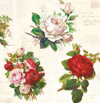 Guardanapo - G3-014 - English Roses - 33x33cm