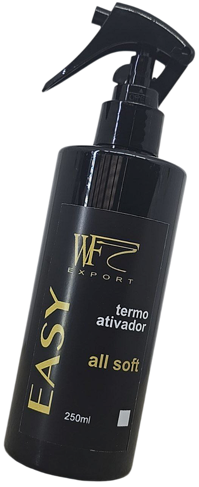 Finalizador Easy Termo Ativador 250ml WF
