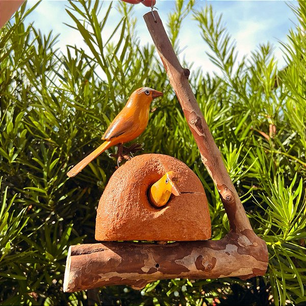 Galho de Madeira com Ninho João de Barro