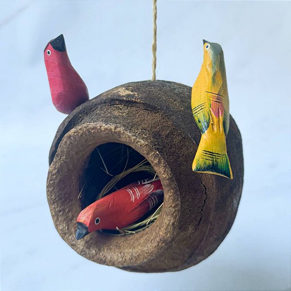 Casinha / Ninho de Passarinho - Semente de Sapucaia