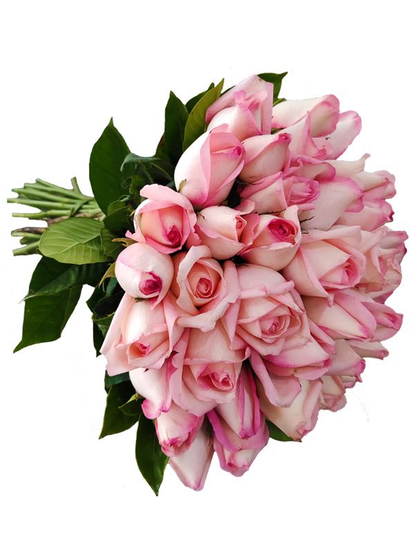 Buquê 42 Rosas Cor Rosa
