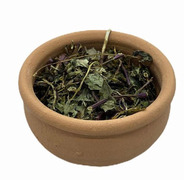 ERVA HORTELÃ CARTELA COM 10 PACOTES