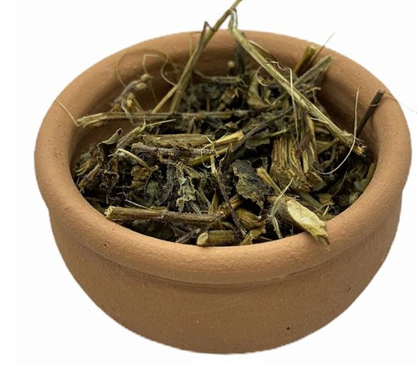 ERVA LEVANTE CARTELA COM 10 PACOTES