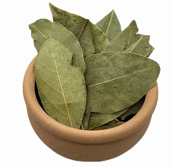 ERVA LOURO CARTELA COM 10 PACOTES