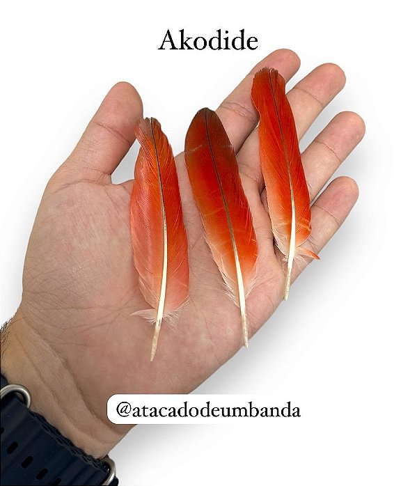 PENA AKODIDE | Atacado de Umbanda