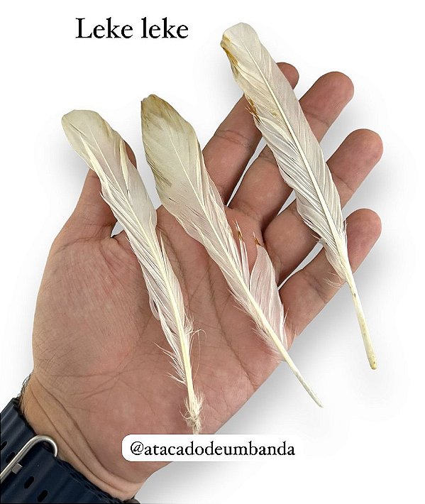 PENA DE LEKE LEKE | Atacado de Umbanda