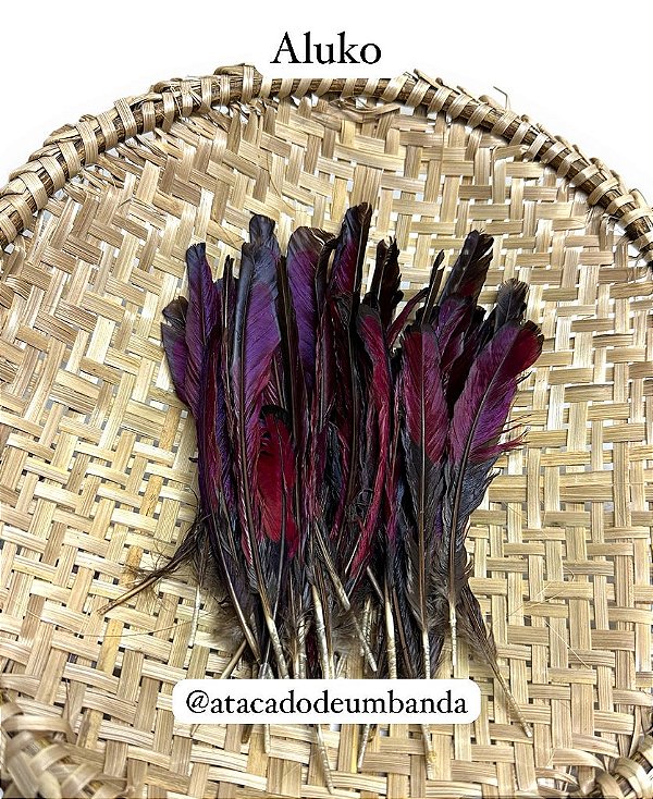 PENA DE ALUKO | Atacado de Umbanda