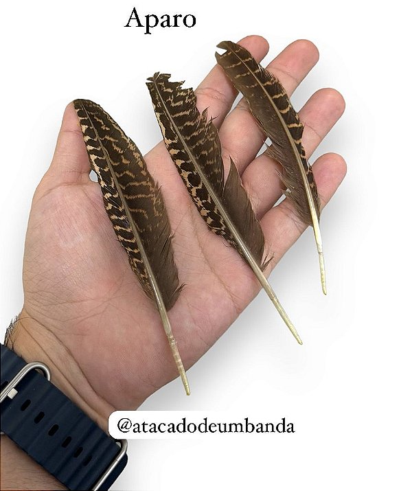 PENA DE APARO | Atacado de Umbanda