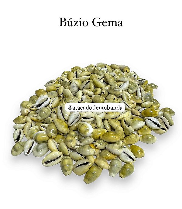 BÚZIOS GEMA P 500G