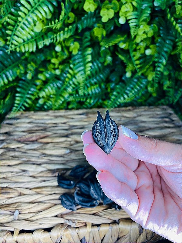 GARRA DE POMBA GIRA (DÚZIA)