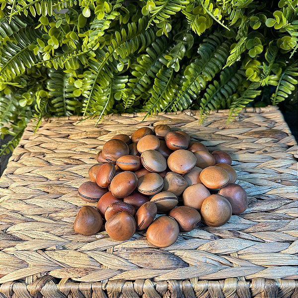 SEMENTE DE OLHO DE BOI ( 1/2 KILO)