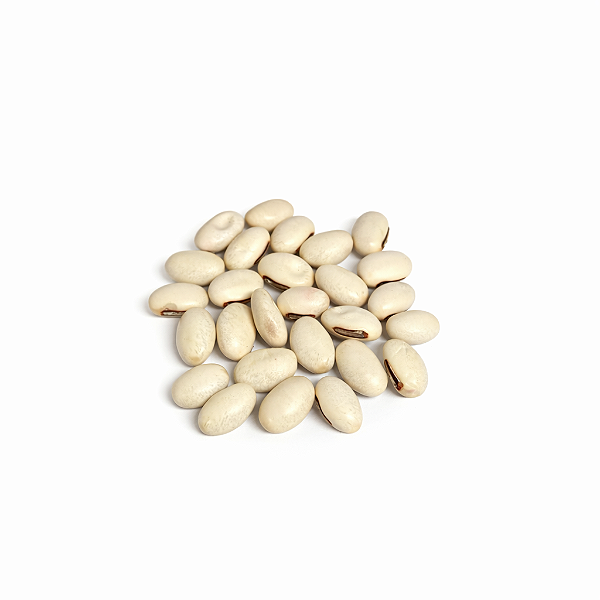 FAVA DE OXALÁ (DÚZIA)