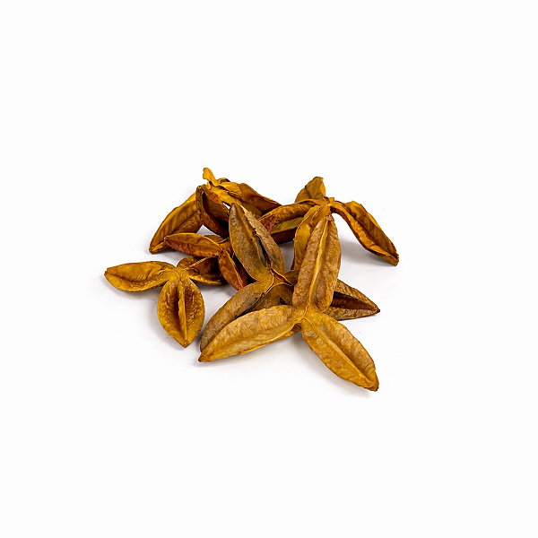FAVA DA PROSPERIDADE (DÚZIA)