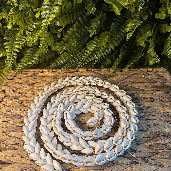 BRAJA DE BÚZIO BRANCO