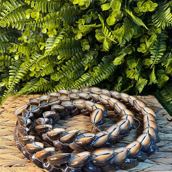 BRAJA DE BÚZIO (AFRICANO) MARROM