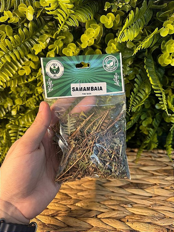 ERVA SAMAMBAIA CARTELA COM 10 PACOTES