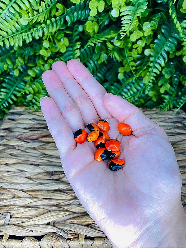 OLHO DE CABRA - DÚZIA COM FURO