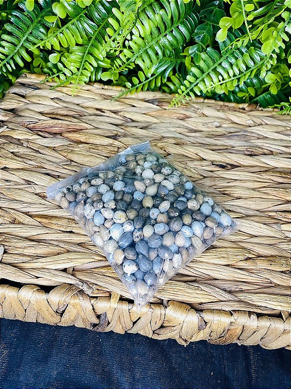 LÁGRIMAS DE NOSSA SENHORA - 100G