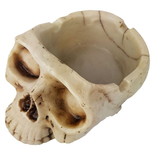 CINZEIRO CAVEIRA BRANCO