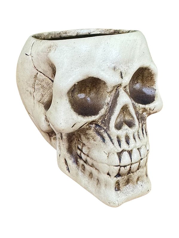 CRÂNIO DE LOUÇA NATURAL OFERTÓRIO