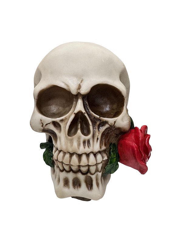 CRANIO ROSA CAVEIRA
