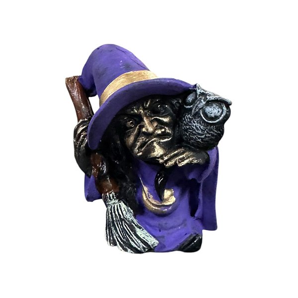 BRUXA COM CORUJA ROXA