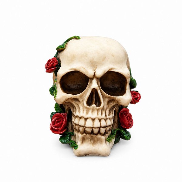 CRANIO COM ROSAS NO ROSTO