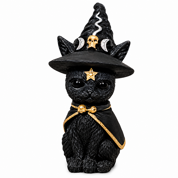 GATO MAGO PRETO