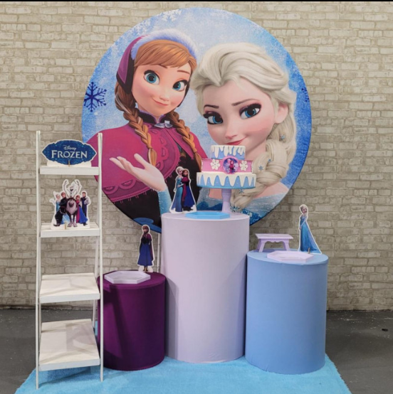 Alugue Tema Para Festa Decoração Frozen Tecido ( Modelo 5 )