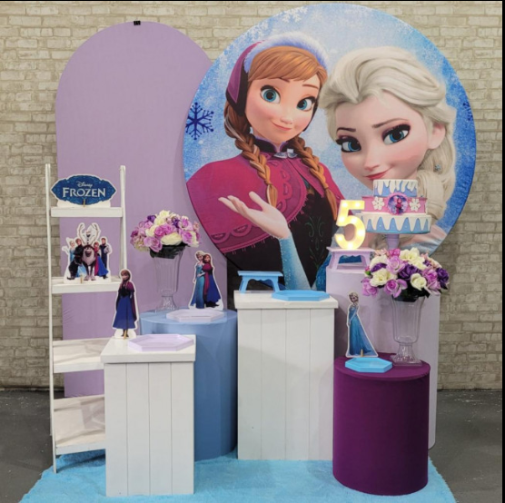 Alugue Tema Para Festa Decoração Frozen Tecido ( Modelo 6 )