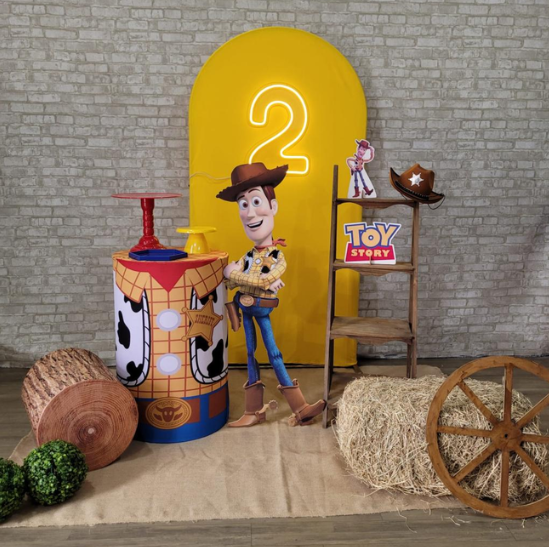 Alugue Tema Para Festa Decoração Woody Toy Story Modelo Personalizado Tecido