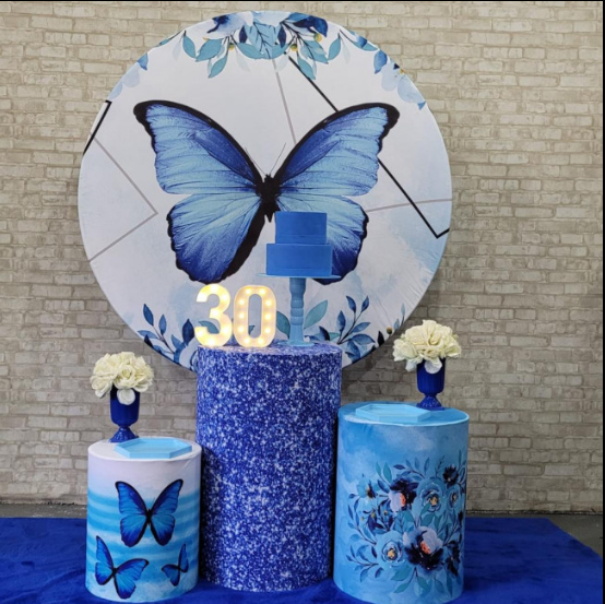 Alugue Tema Para Festa Decoração Borboleta Tecido ( Modelo 2 )
